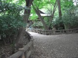 吉祥寺　井の頭公園